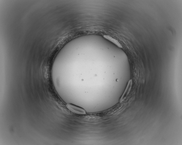 X0000111860708200908061336