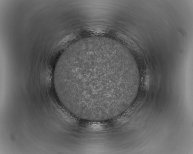 X0000111860710200908061336