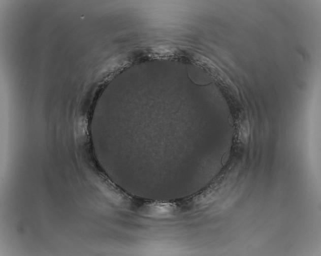 X0000111860711200908061336