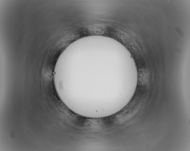 X0000111860713200908061336