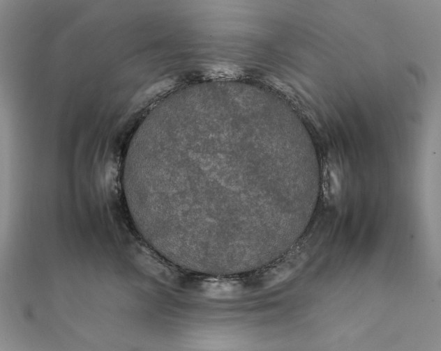 X0000111860714200908061336