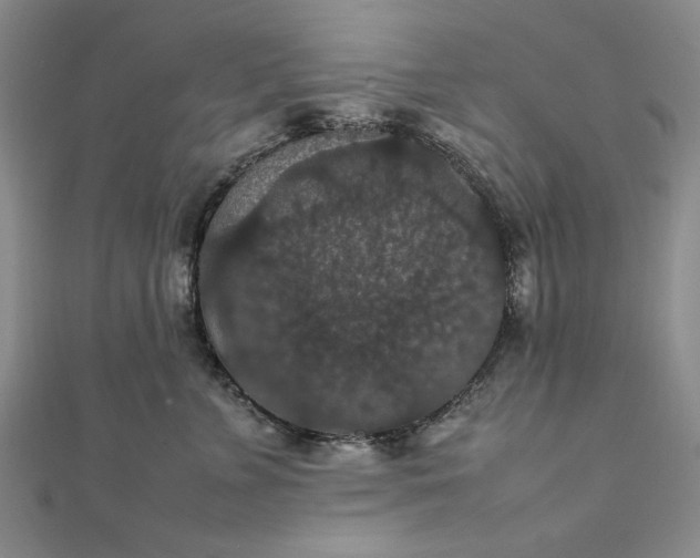 X0000111860715200908061336