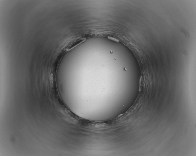 X0000111860716200908061336