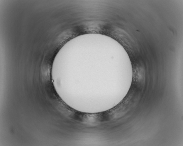 X0000111860717200908061336