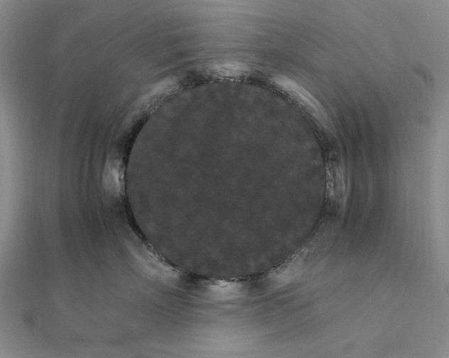 X0000111860718200908061336