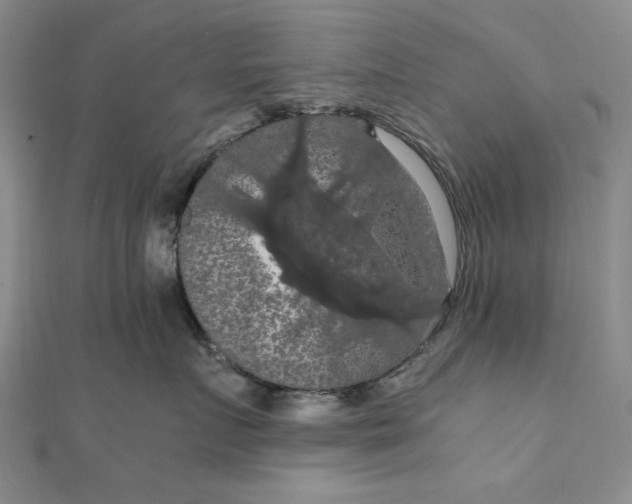 X0000111860719200908061335