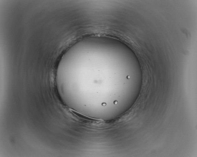 X0000111860720200908061335