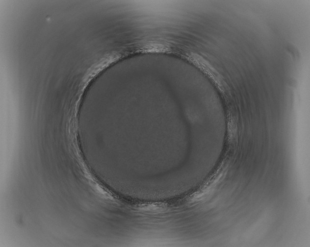 X0000111860721200908061335