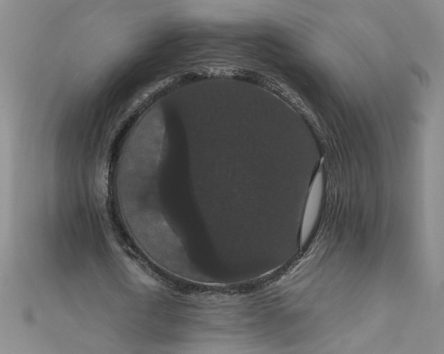 X0000111860722200908061335