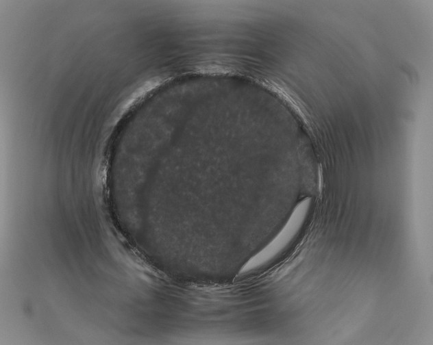 X0000111860723200908061335