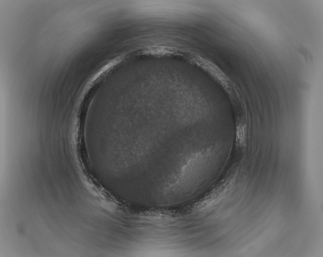 X0000111860724200908061335