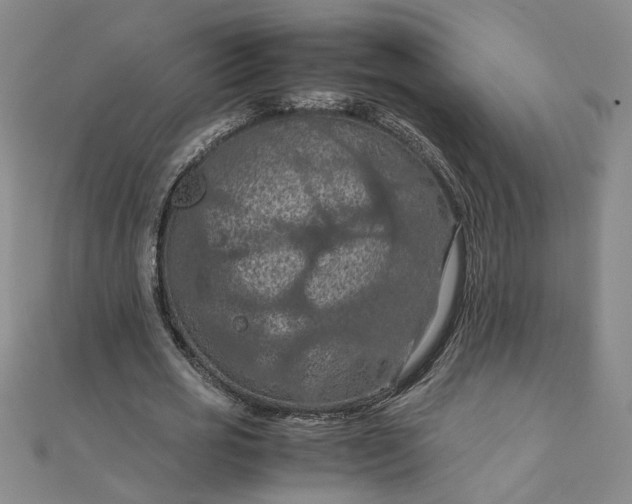 X0000111860725200908061335