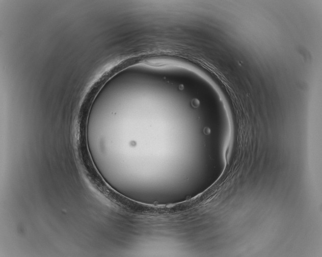 X0000111860726200908061335