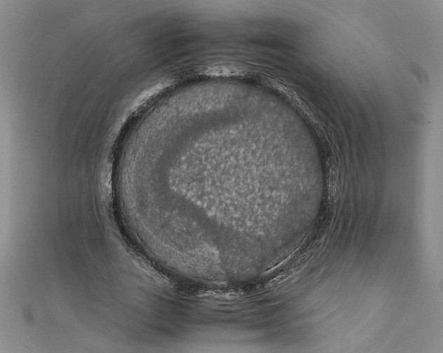 X0000111860727200908061335