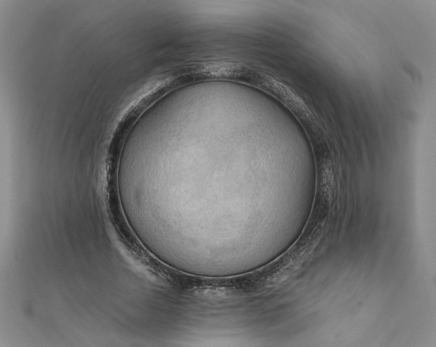 X0000111860730200908061335