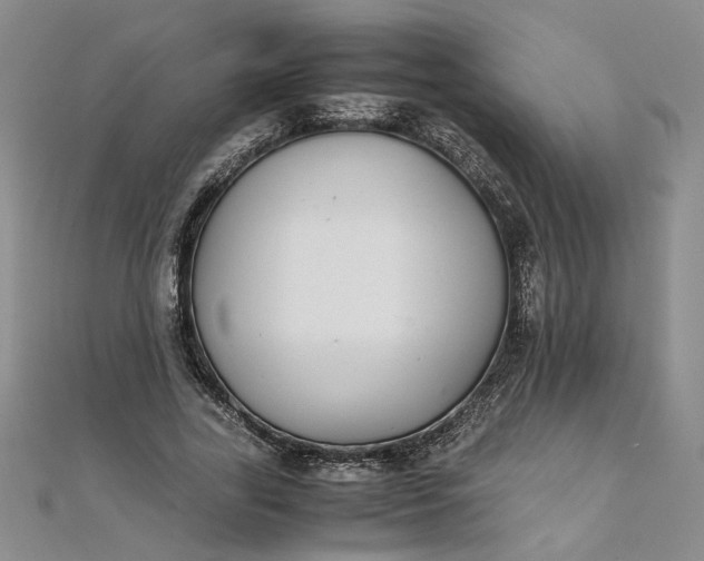 X0000111860731200908061335