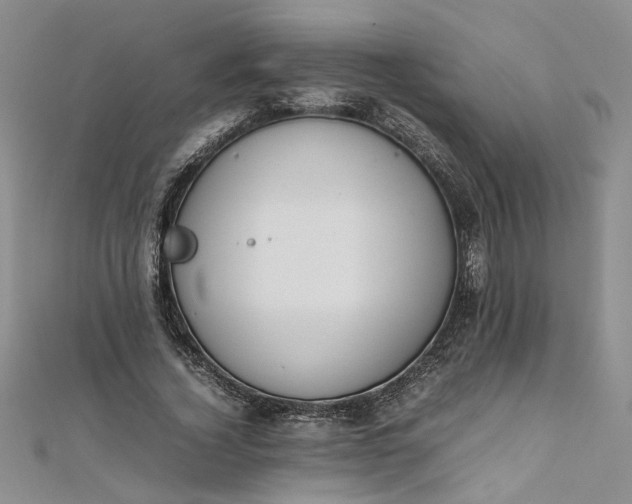 X0000111860732200908061335