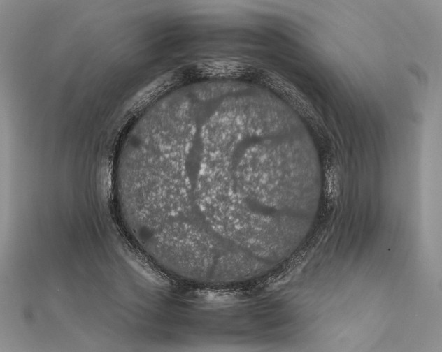 X0000111860733200908061335