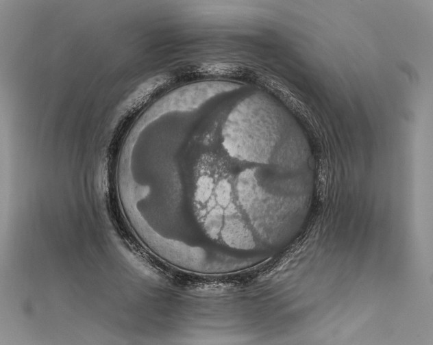 X0000111860734200908061335