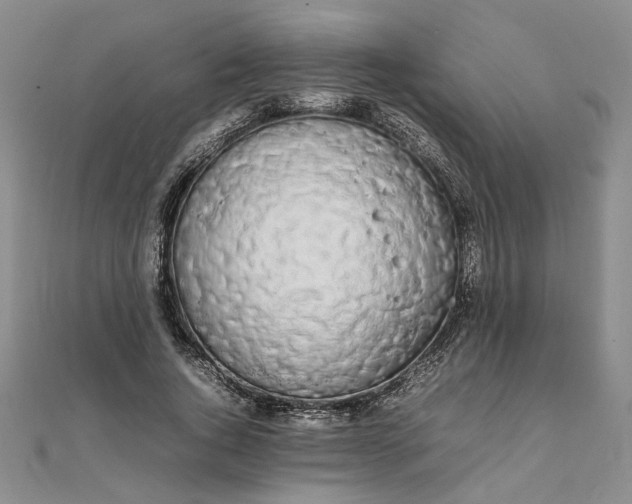 X0000111860736200908061335