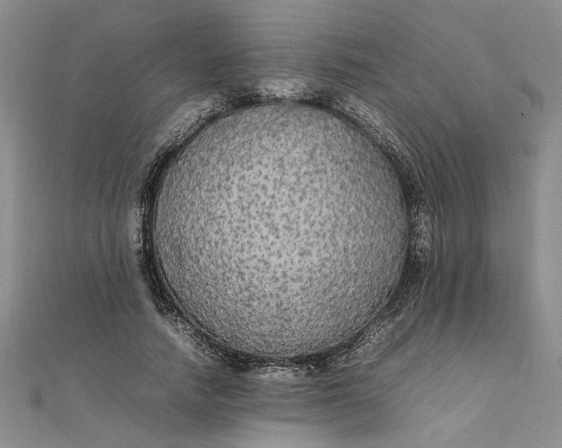 X0000111860738200908061335