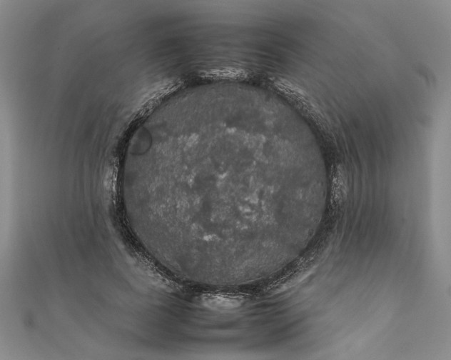 X0000111860739200908061335