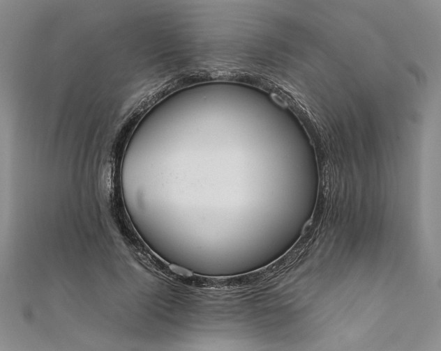 X0000111860740200908061335