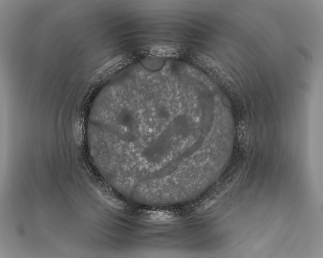 X0000111860741200908061335