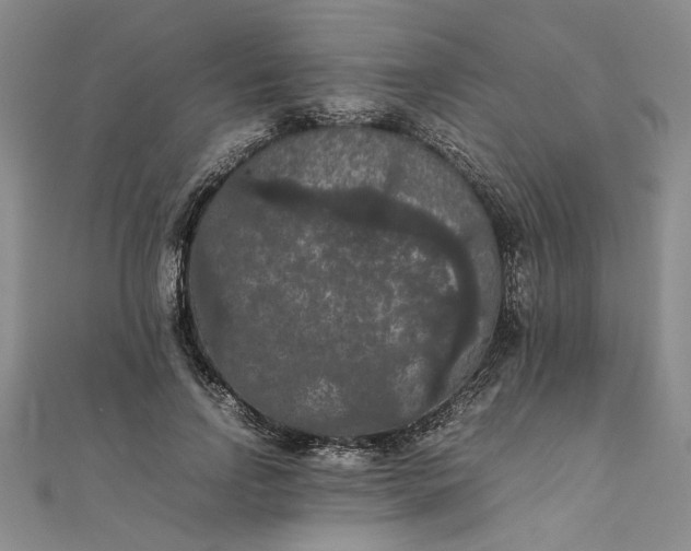 X0000111860742200908061335