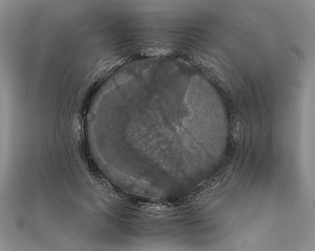 X0000111860743200908061335