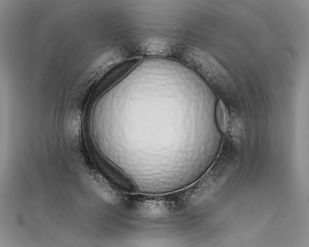 X0000111860744200908061335