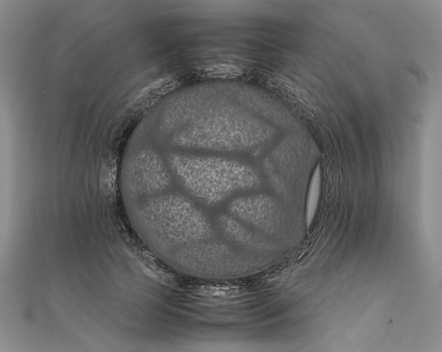 X0000111860745200908061335