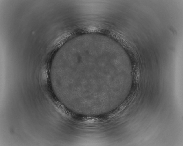 X0000111860746200908061335