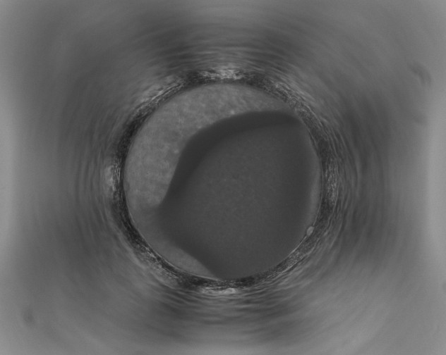 X0000111860747200908061335