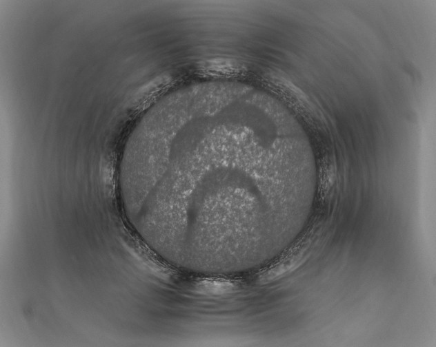 X0000111860749200908061335