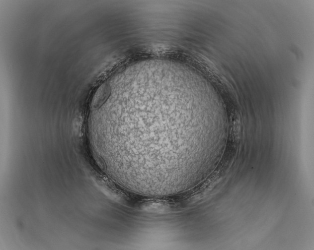 X0000111860750200908061335