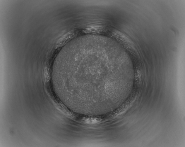 X0000111860751200908061335