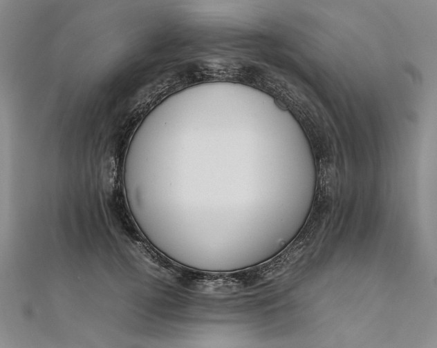 X0000111860752200908061335