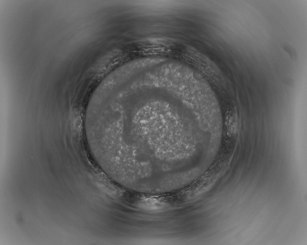 X0000111860753200908061335