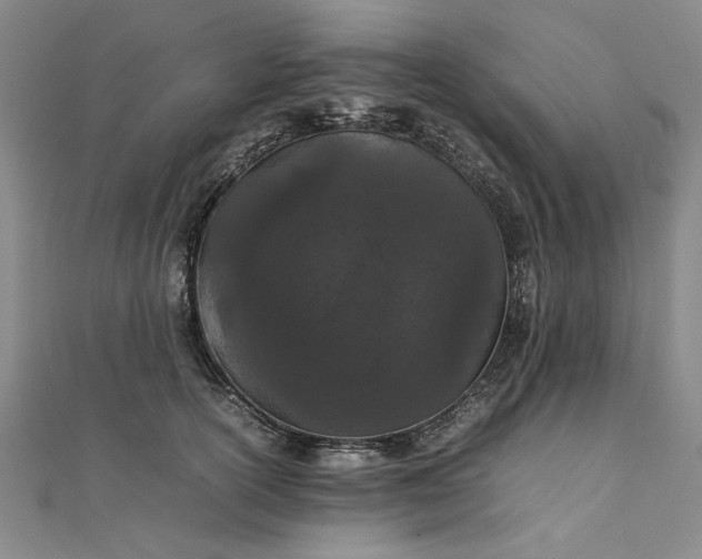 X0000111860754200908061335