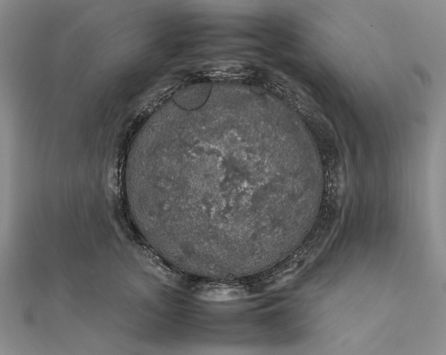 X0000111860755200908061335