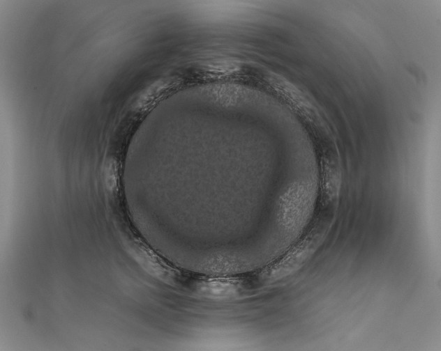 X0000111860758200908061335