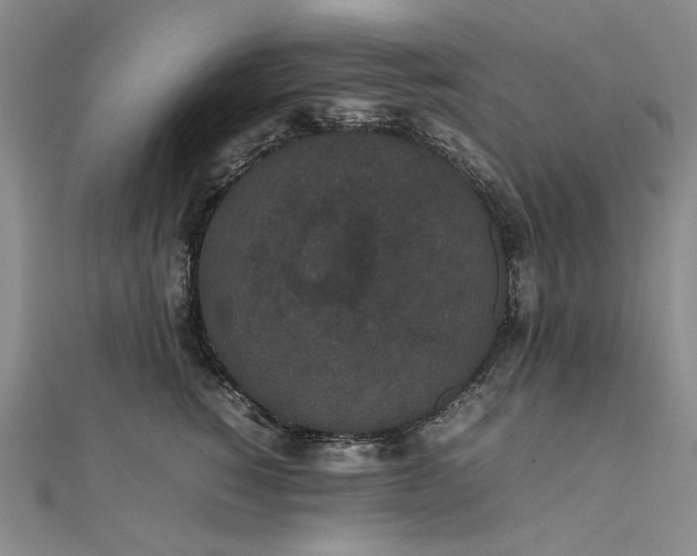 X0000111860760200908061335