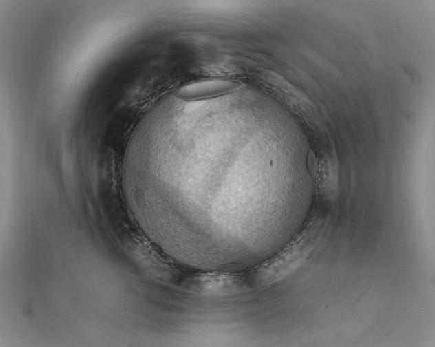 X0000111860762200908061335