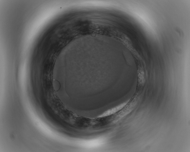 X0000111860766200908061335