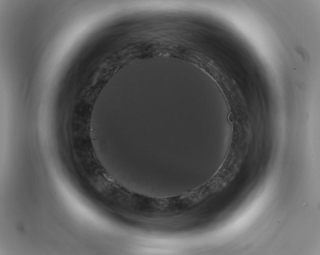 X0000111860767200908061335