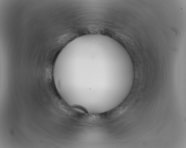 X0000111860768200908061335