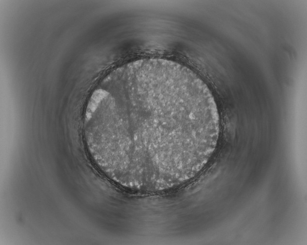 X0000111860769200908061335