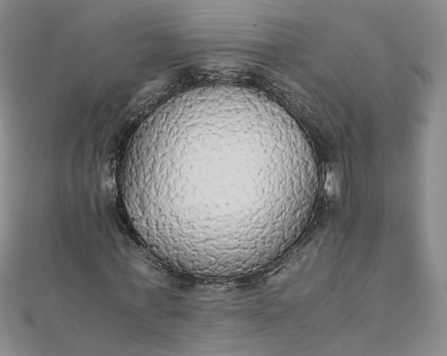 X0000111860771200908061335