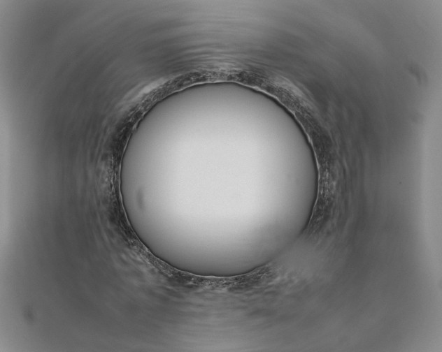 X0000111860773200908061335